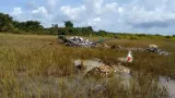 cote divoire disparition dumi 24 au nord on en sait un peu plus sur les circonstances du crash